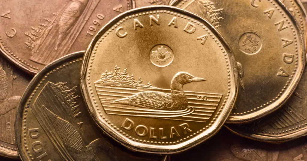 Canadian one dollar golden loonie coins background. Keep our Loonies in our Communities