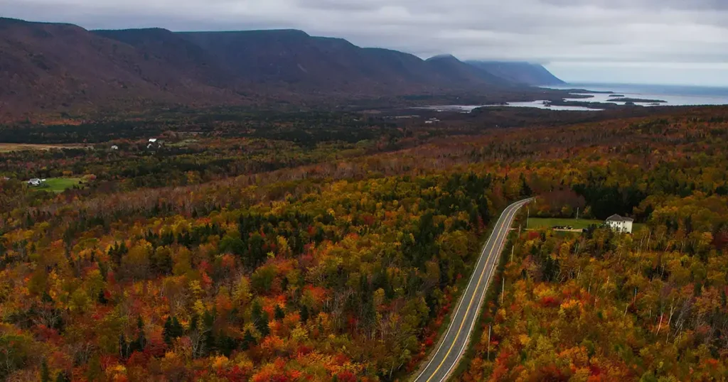 a small business advertising budget is like a road trip - Cape Breton Cabot Trail with autmn colours on display, aerial view of a road through the forest with the mountains and ocean on the horizon.